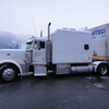 DSC04445 - Trucks