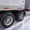 DSC04464 - Trucks