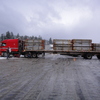 DSC04568 - Trucks