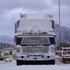 DSC04554 - Trucks