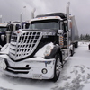 DSC04515 - Trucks