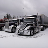 DSC04513 - Trucks