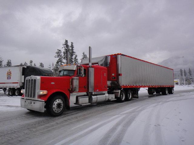 DSC04501 Trucks