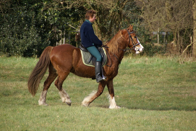 DSC02740 Halve v Oostvoorne 8 maart 08