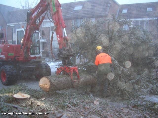 Naaldboom word gerooid 07-12-10 (04) Naaldboom voortuin om 07-02-10