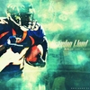 Broncos' Brandon Lloyd - 12... - NFL wallpapers