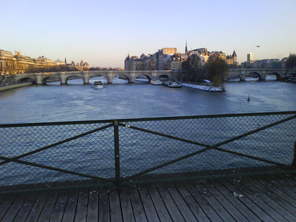 Pont Neuf od Pont des Arts 08012009 - 