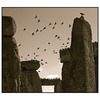 Stone Henge Birds Sepia - England and Wales