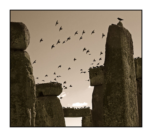 Stone Henge Birds Sepia England and Wales