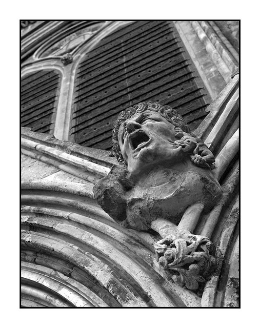 Salisbury Cathedral Screamer England and Wales
