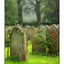 Lanercost Grave Stones - England and Wales