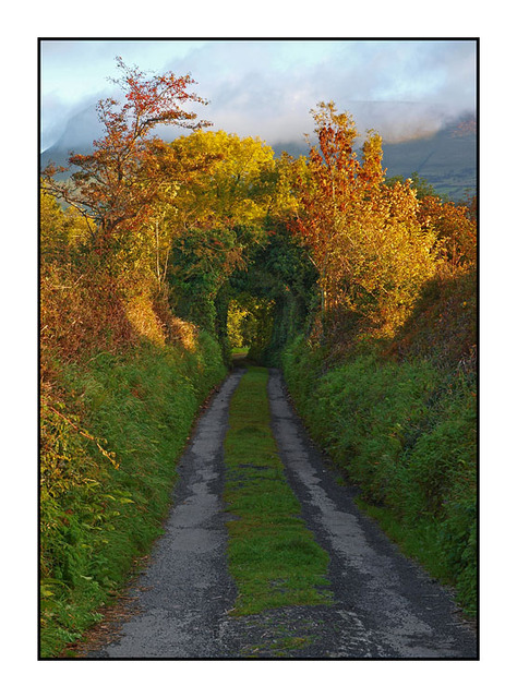 Irish Old Road Ireland