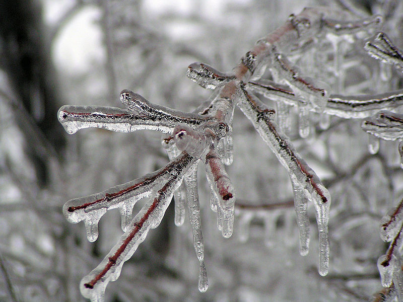 800px-Ice Storm Kansas - 