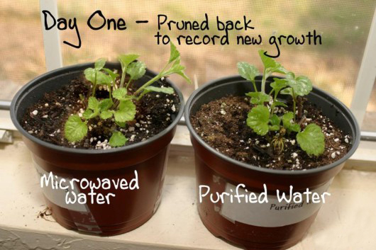 microwave oven facts 02 - 