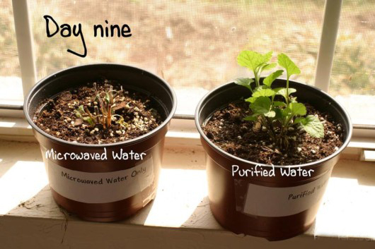 microwave oven facts 06 - 