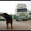 DSC 9273-border - Hoeven, P van de - Zegveld