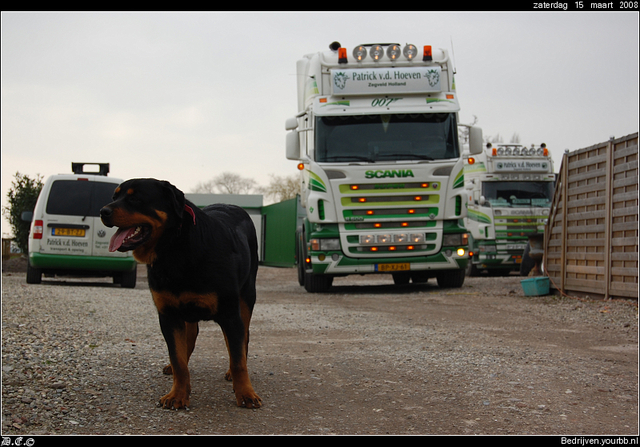 DSC 9275-border Hoeven, P van de - Zegveld