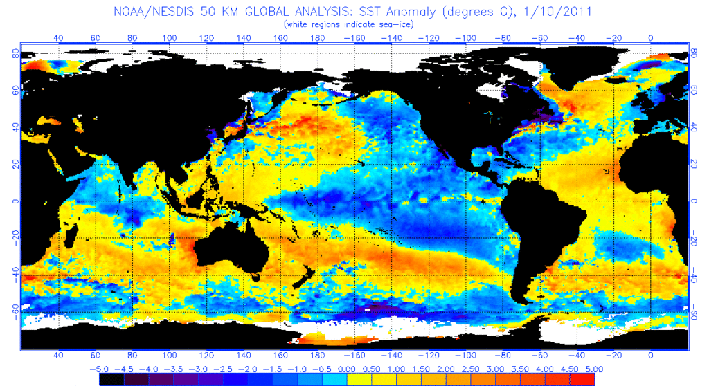 anomnight.1.10.2011 - 