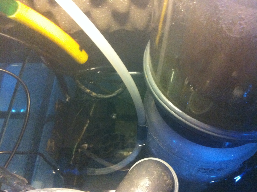 14gennaio 2011 002 - 