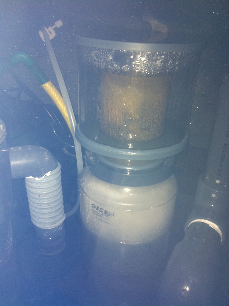 14gennaio 2011 007 - 