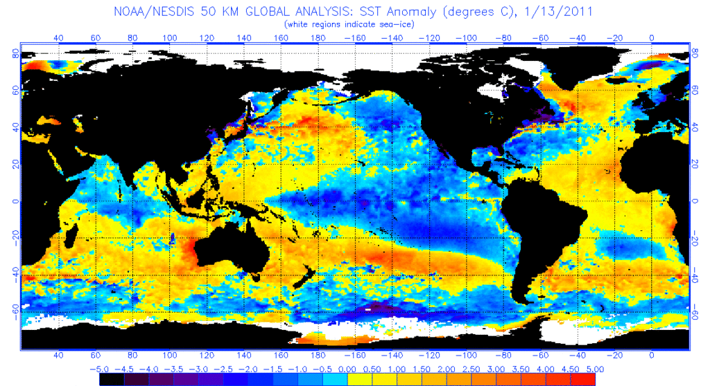 anomnight.1.13.2011 - 