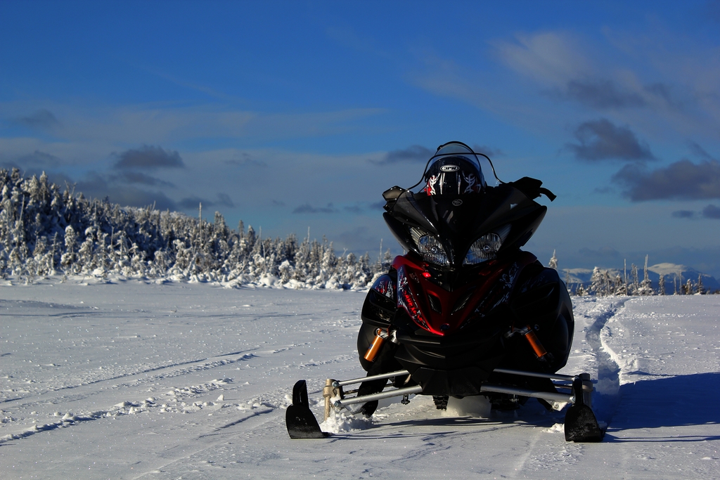 go pro jan 14thv 2011 045xxxxxxg - 2011 Apex