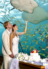 maldives underwater wedding - 