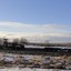 DSC00676 - jan 2011