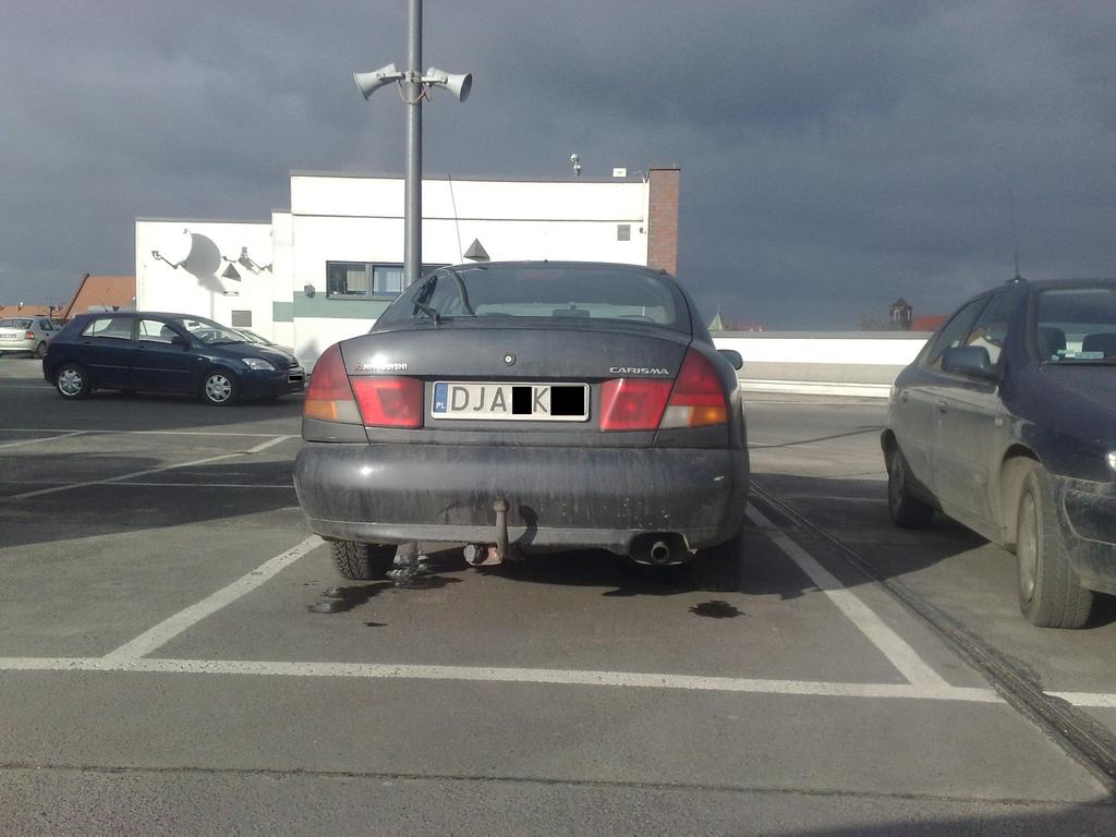 Galeria DominikaÅ„ska - 