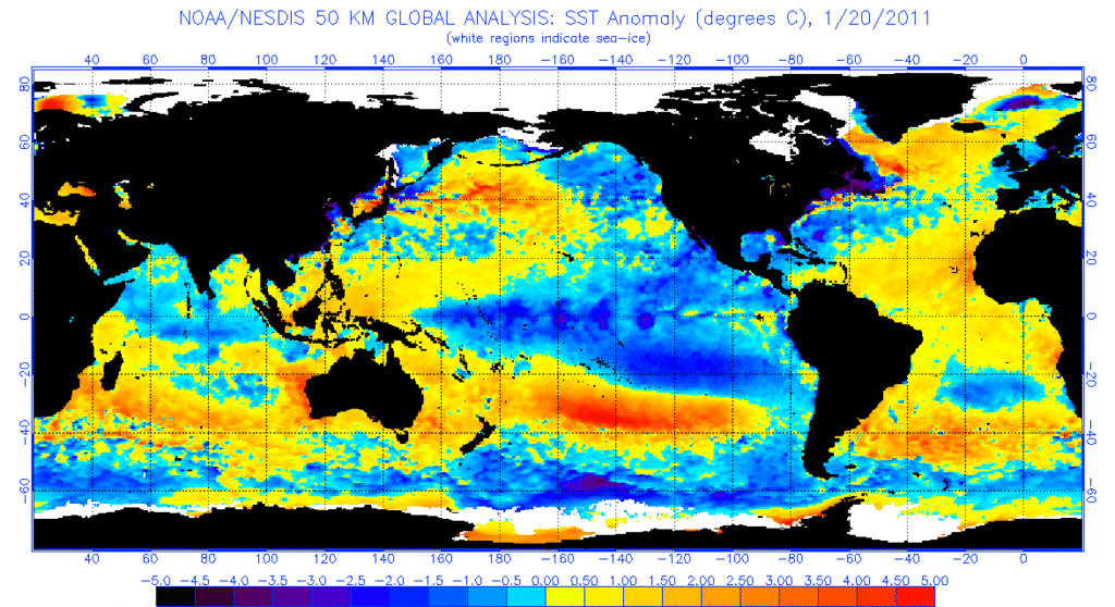 anomnight.1.20.2011 - 
