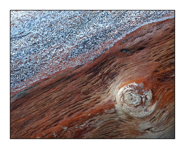 Frosty Driftwood Nature Images