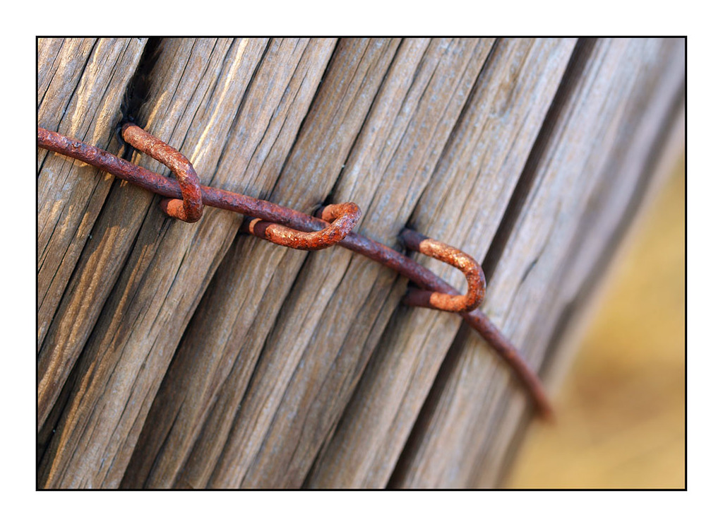 Rust around a Post Nature Images