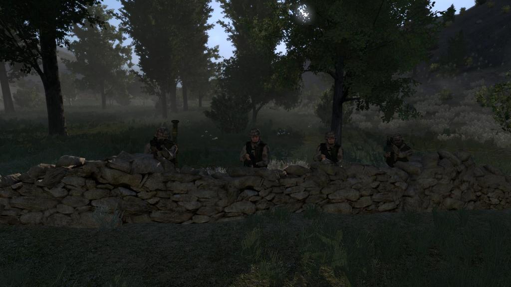 arma2OA 2011-02-13 20-09-54-98 - 