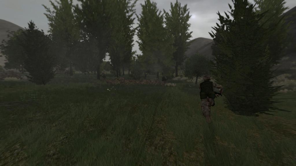 arma2OA 2011-02-13 20-17-44-17 - 