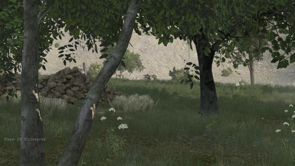 arma2OA 2011-02-13 20-21-37-29 - 