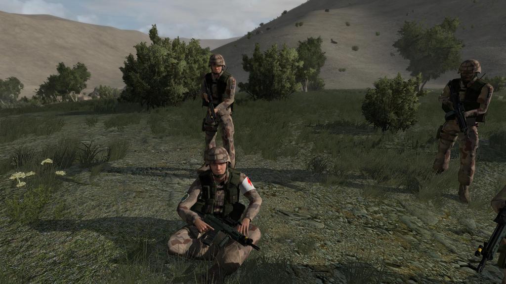 arma2OA 2011-02-13 20-53-49-41 - 