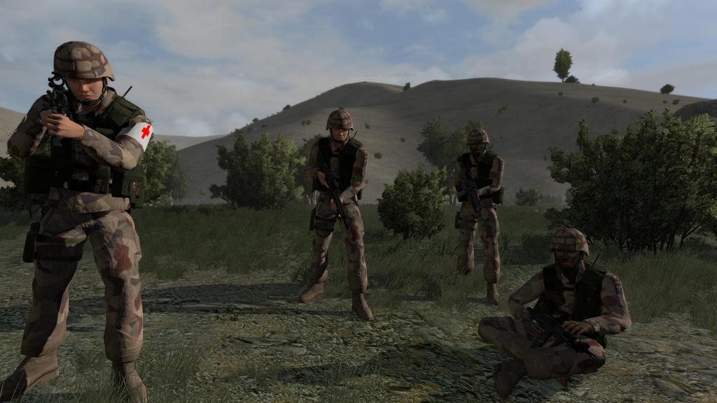 arma2OA 2011-02-13 20-54-03-28 - 