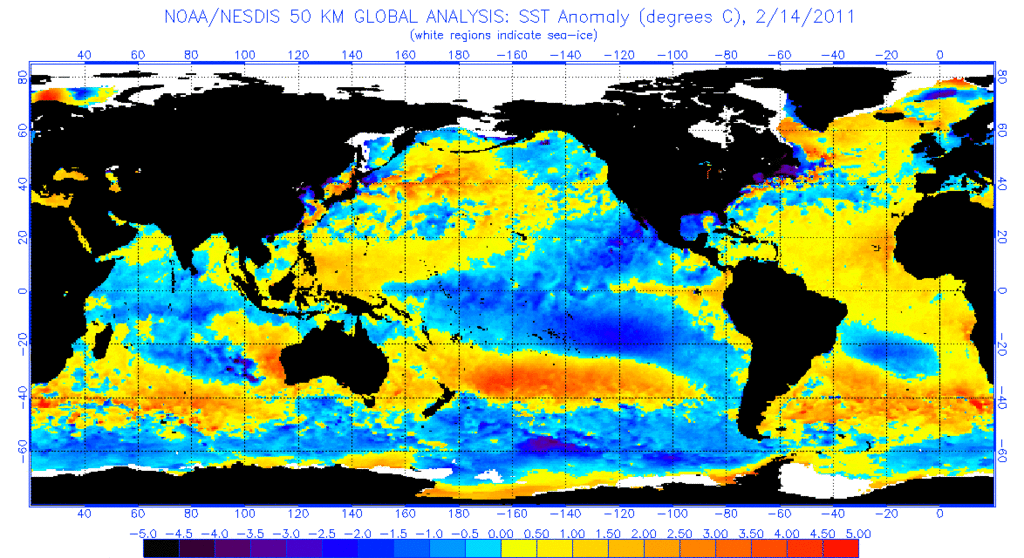 anomnight.2.14.2011 - 