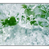 Ice Macro - Close-Up Photography