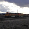 DSC05083 - March 2011