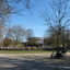 P1220108 - de vogels van amsterdam