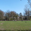 P1220256 - Vondelpark