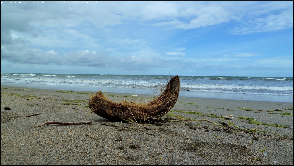 Coconut Kuta Bali1 - 