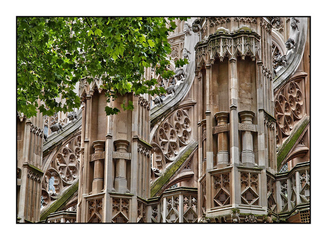 Westminster in the trees England and Wales