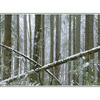 lerwick snowy pano - Panorama Images