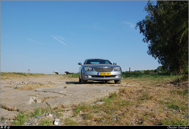 dsc 4430-border Muscle Cars