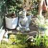 Tuin - Boeddha 11-04-11 - In de tuin 2011