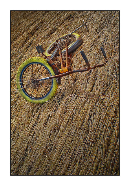 Royston bike Abandoned