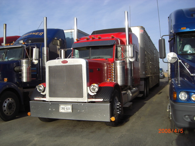 CIMG5547 Trucks