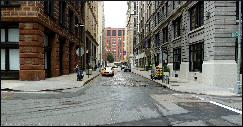 in the streets of new york07 - 